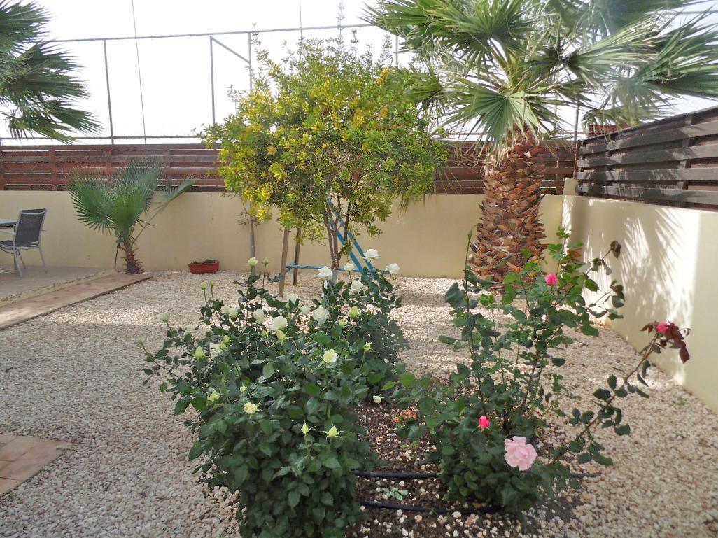 Villa Favor - 3 Bed With Pool Close To Nissi Beach 圣纳帕 外观 照片